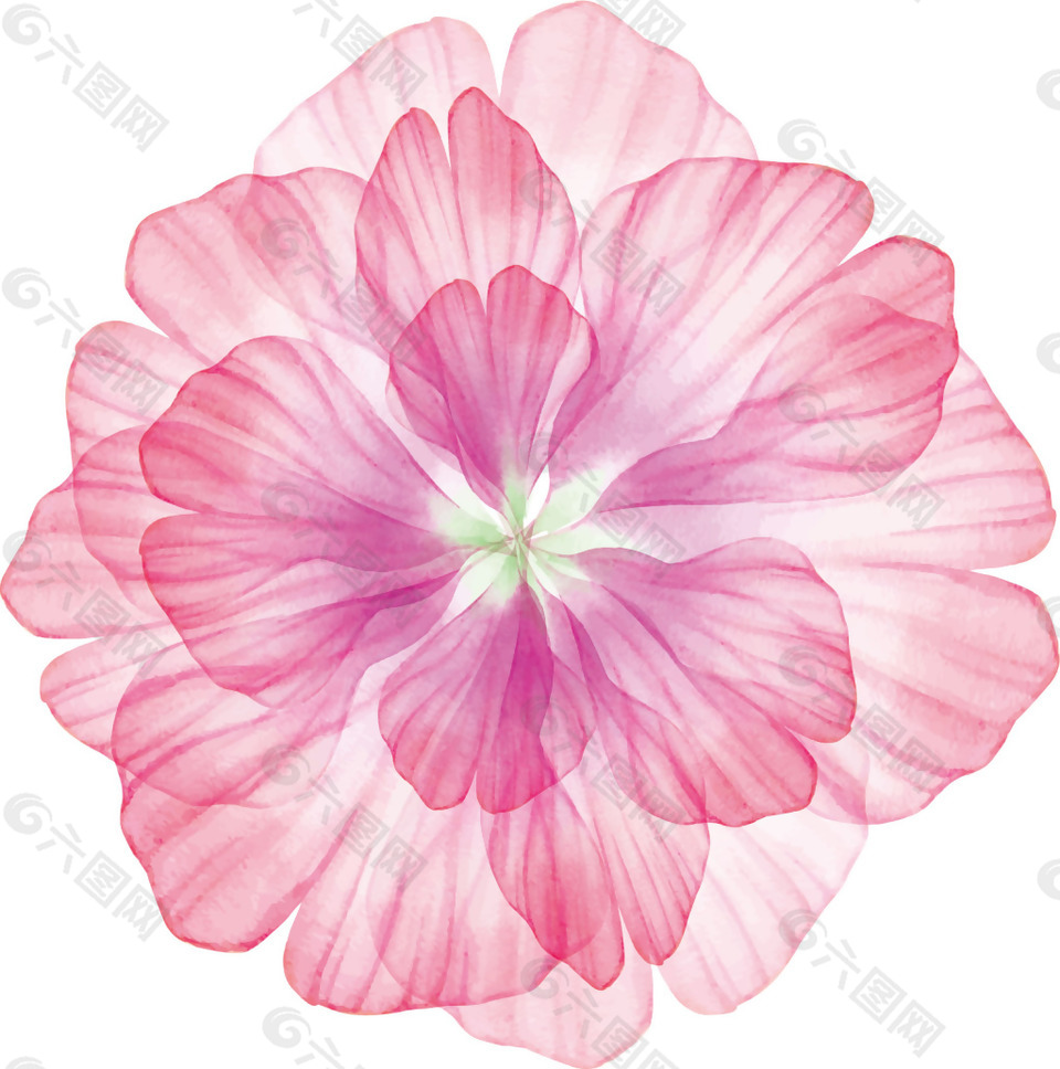 粉色透明花朵png元素素材