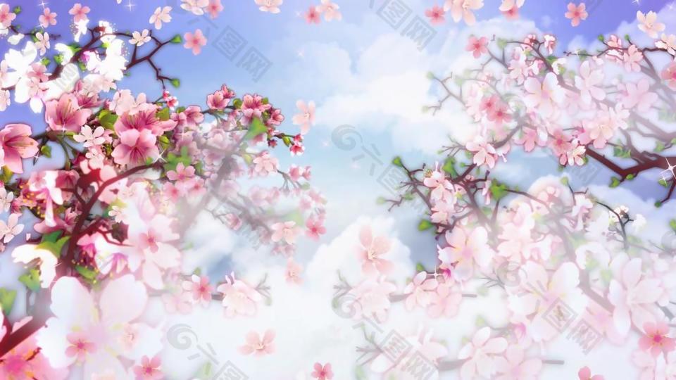 唯美梦幻桃林桃花飘落动态视频素材