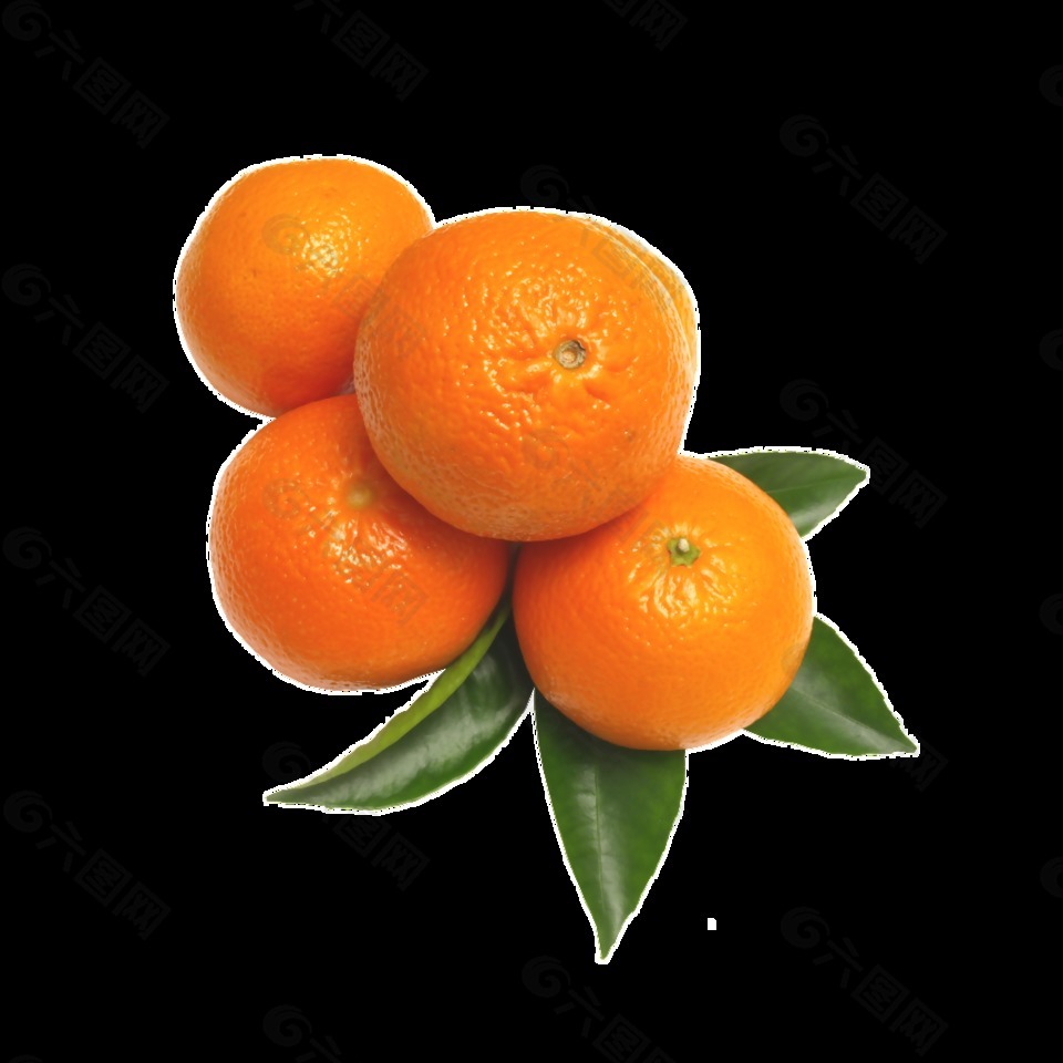 橙子透明水果素材