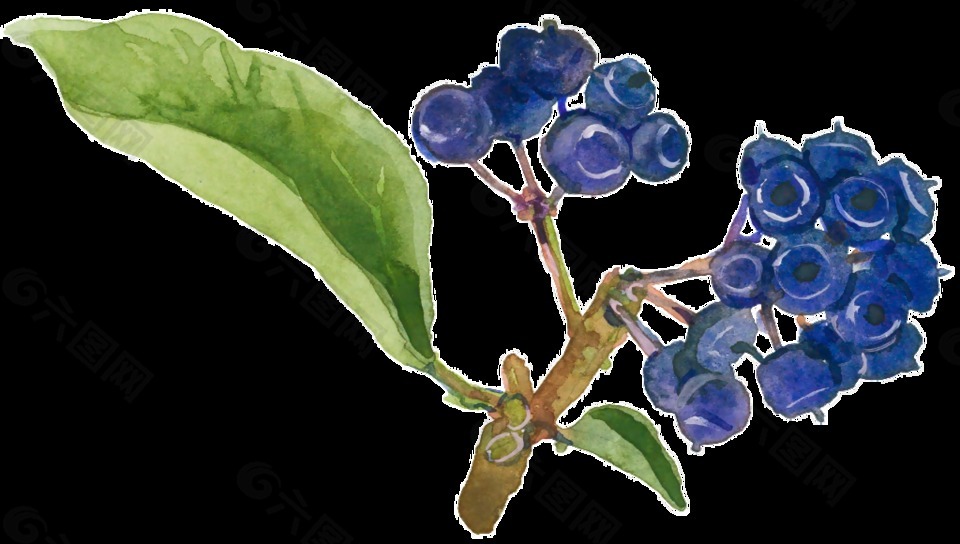 潮流手绘水彩花朵装饰透明素材