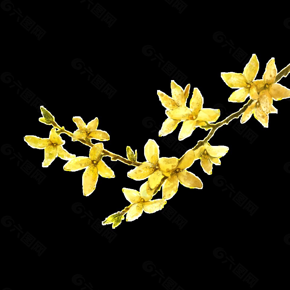 桂花免抠素材免费下载