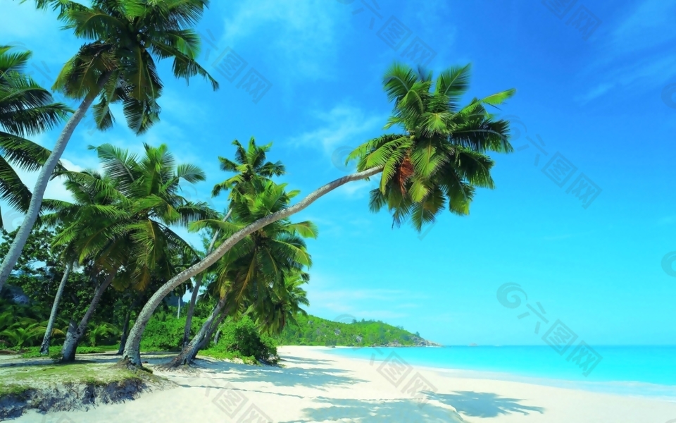 HDR沙滩树木环境贴图