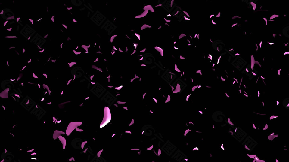 华丽紫色花瓣满屏飘散动态素材