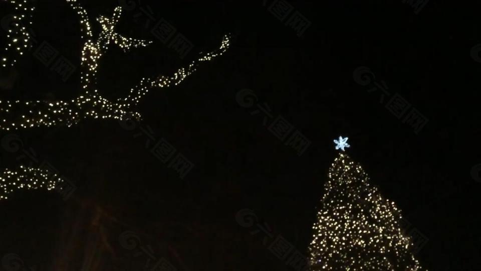 实拍圣诞节夜晚闪闪发光的圣诞树视频素材