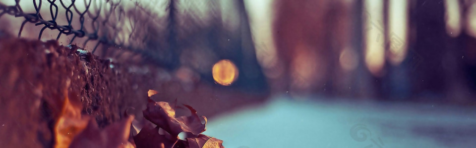 梦回校园围墙banner背景