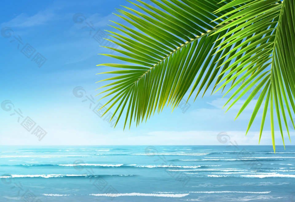 海边椰树唯美动态背景视频素材