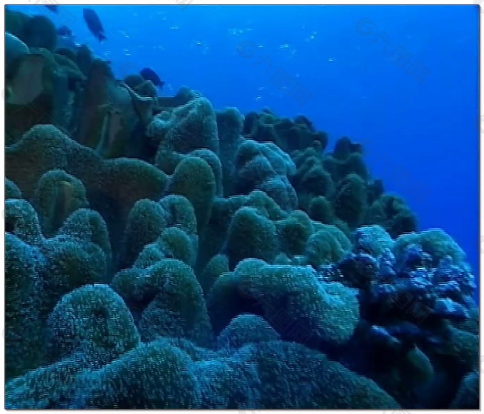 水底世界视频素材