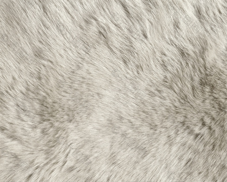 白色羊毛动物填充纹理背景素材