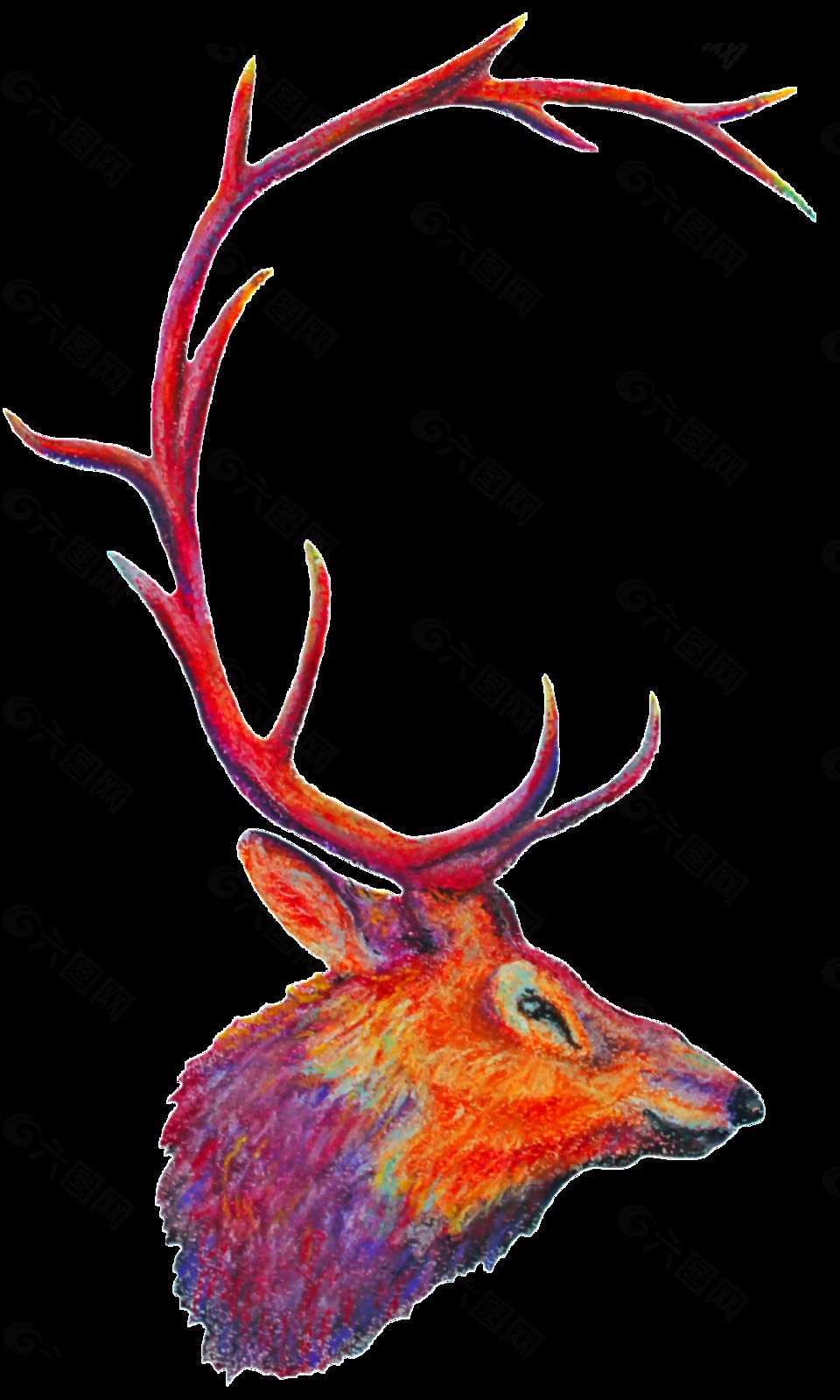 动物麋鹿透明装饰素材