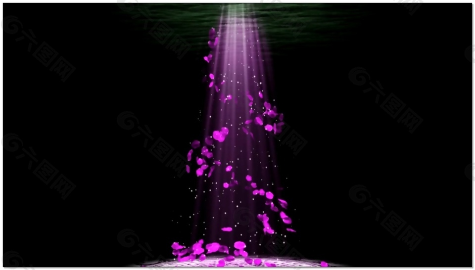 紫色动态视频素材