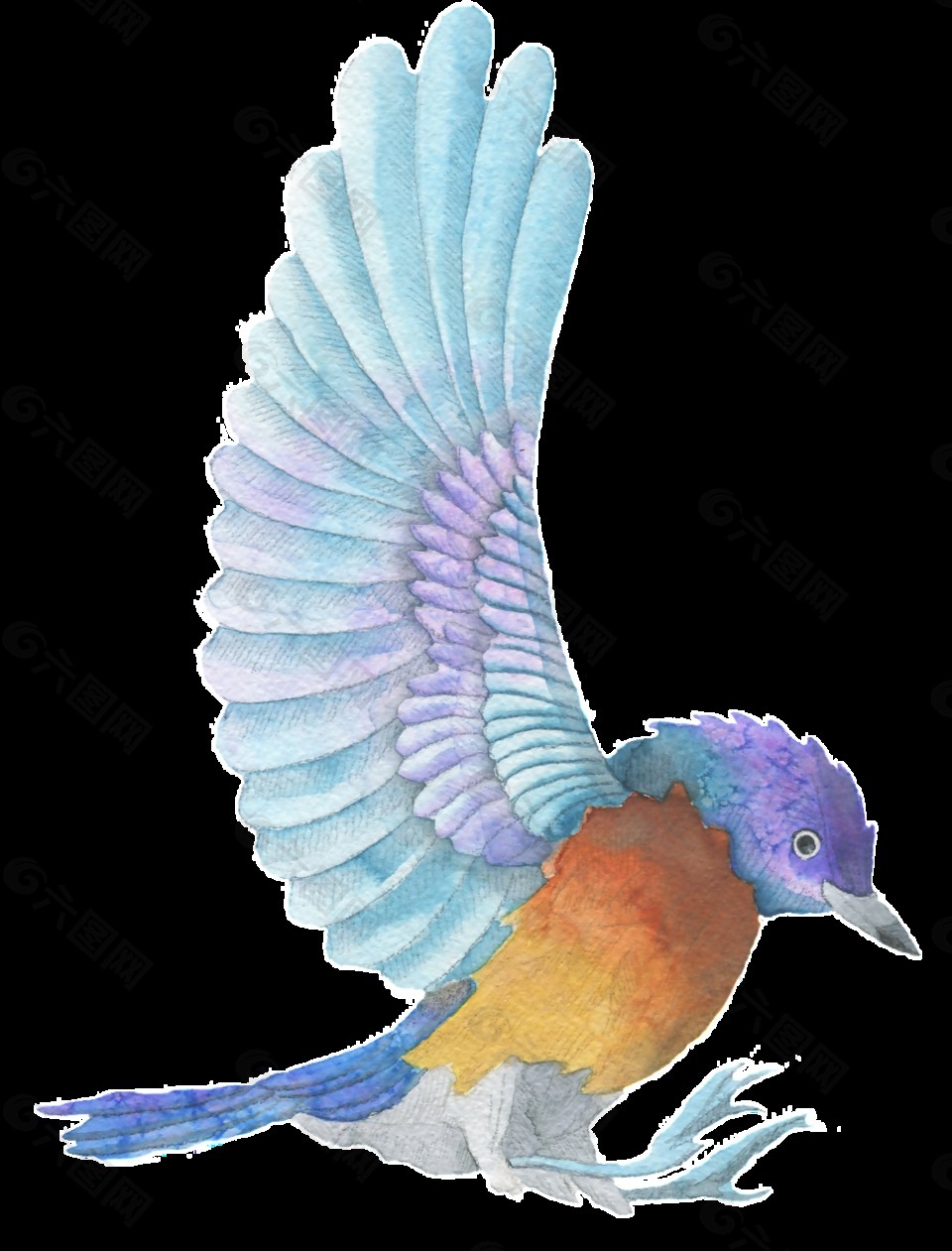 蓝色小鸟手绘水彩透明装饰图案