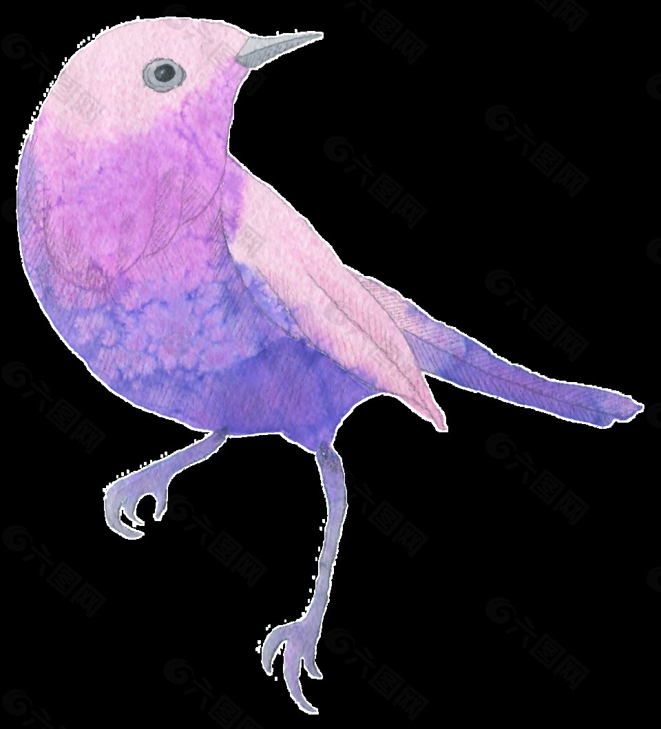 紫色小鸟水彩手绘透明装饰图案