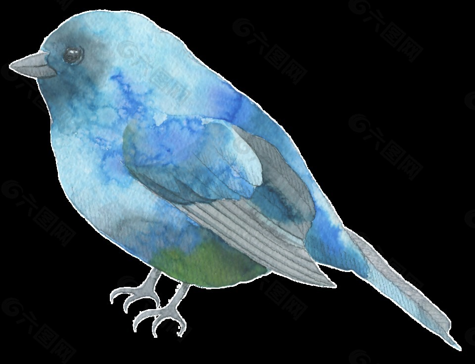 蓝色羽毛小鸟水彩透明装饰图案