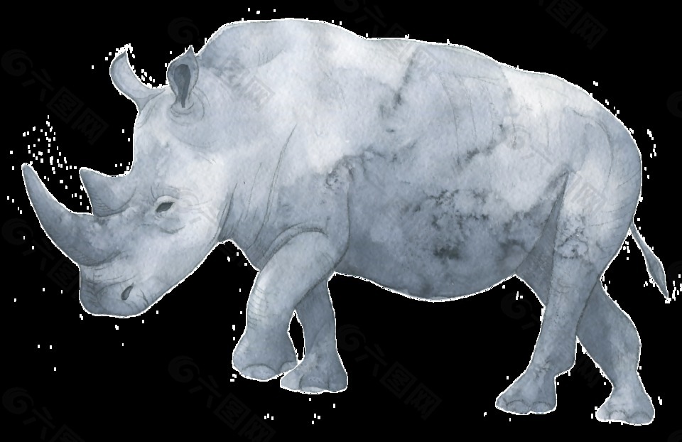 灰色犀牛水彩透明装饰图案