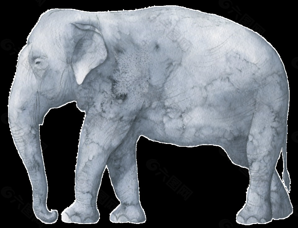 灰色渲染大象图案水彩透明装饰图案