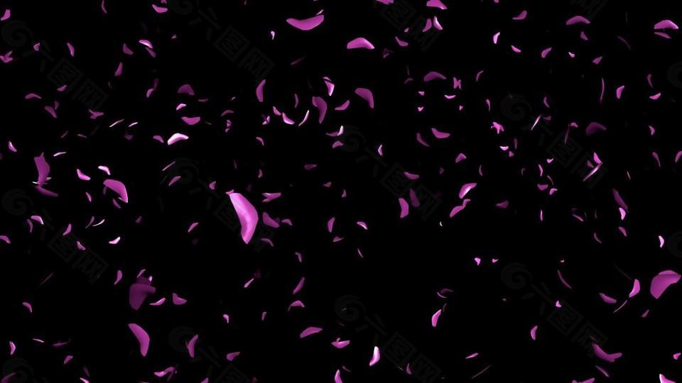 梦幻华丽紫色花瓣满屏飘散