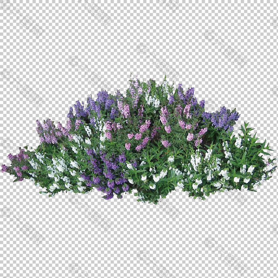 紫色鲜花灌木免抠png透明图层素材