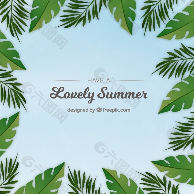 棕榈科热带叶的背景