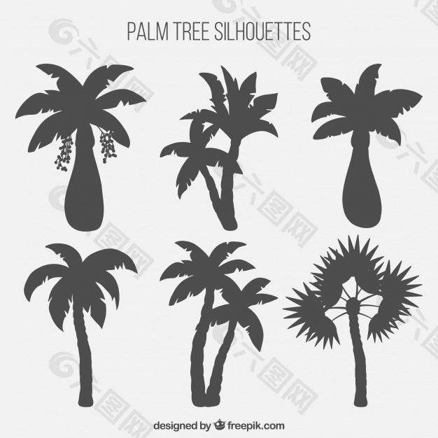 棕榈树剪影收集
