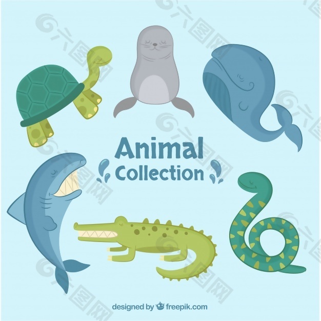 海洋动物扁平采集