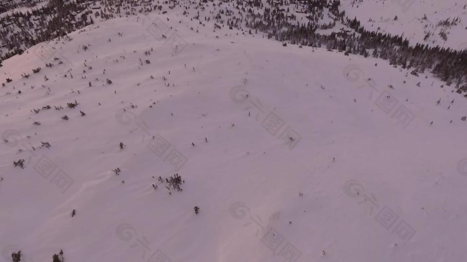 实拍大雪覆盖的森林视频素材