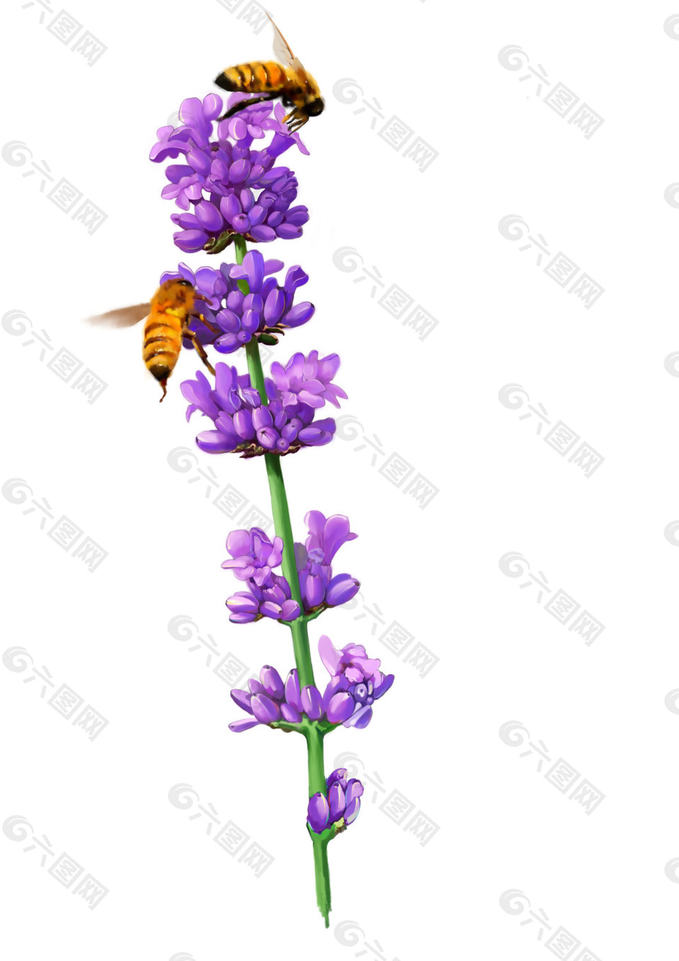 紫色花朵和蜜蜂png元素素材