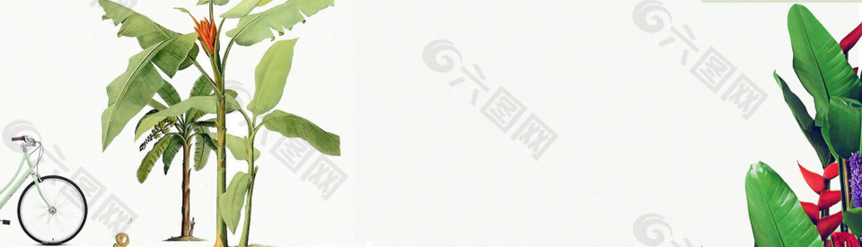 清新绿色树叶banner背景素材