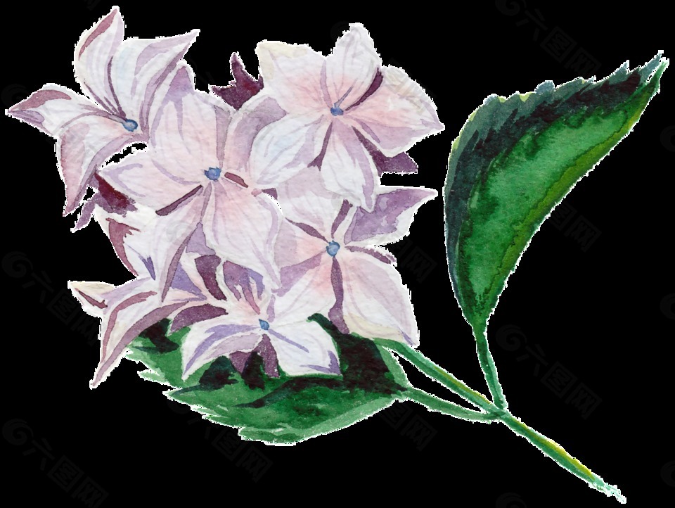 淡紫色花朵水彩透明花朵素材