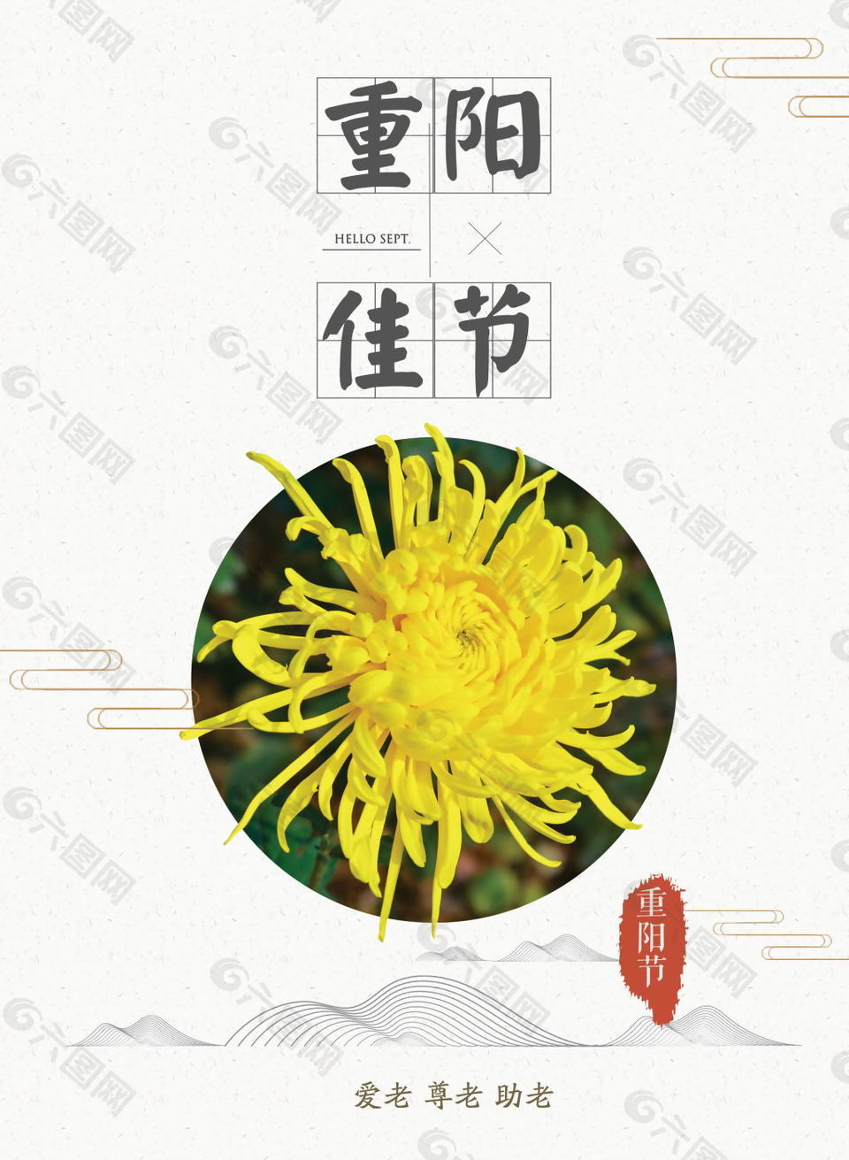 重阳节菊花海报
