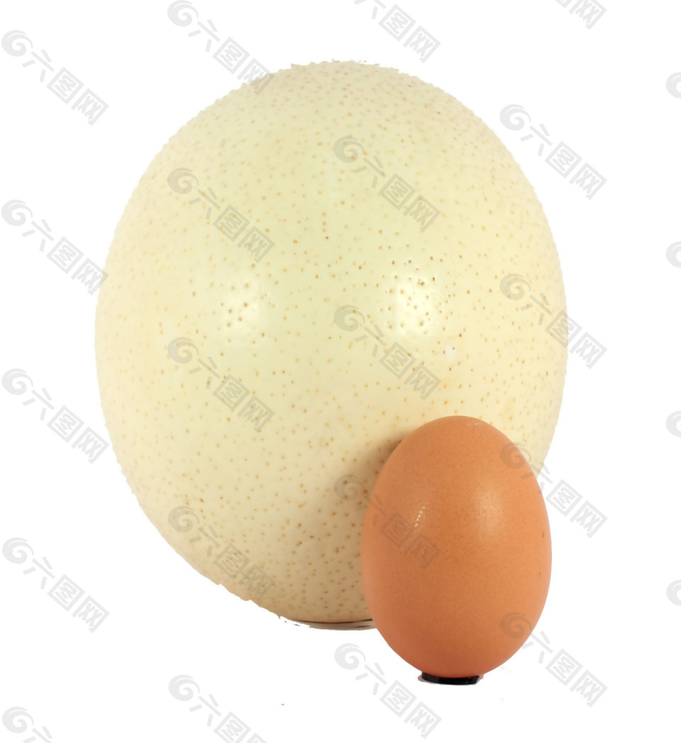 鹅蛋和鸡蛋png元素素材