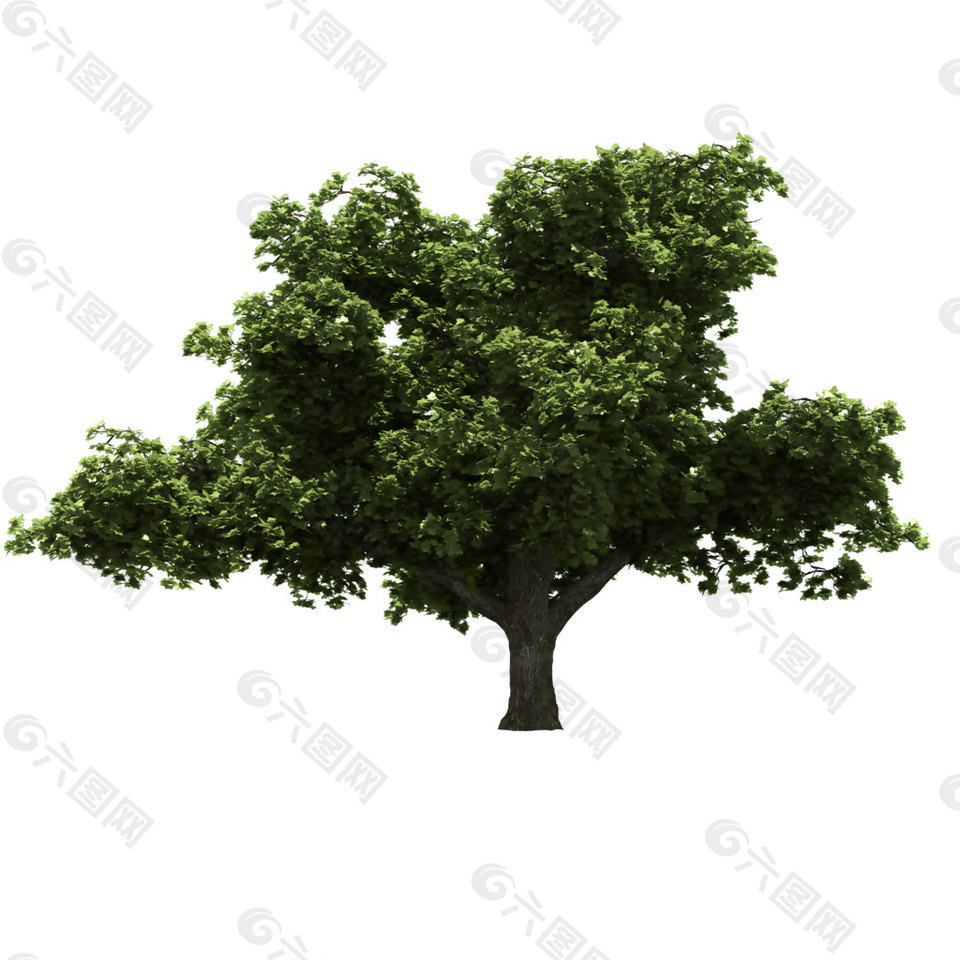 绿色的树png元素素材