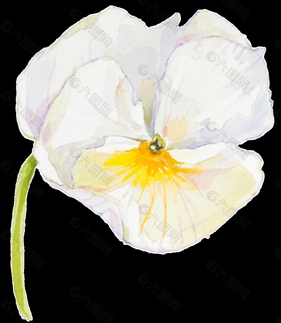 素雅清新白色花卉透明素材