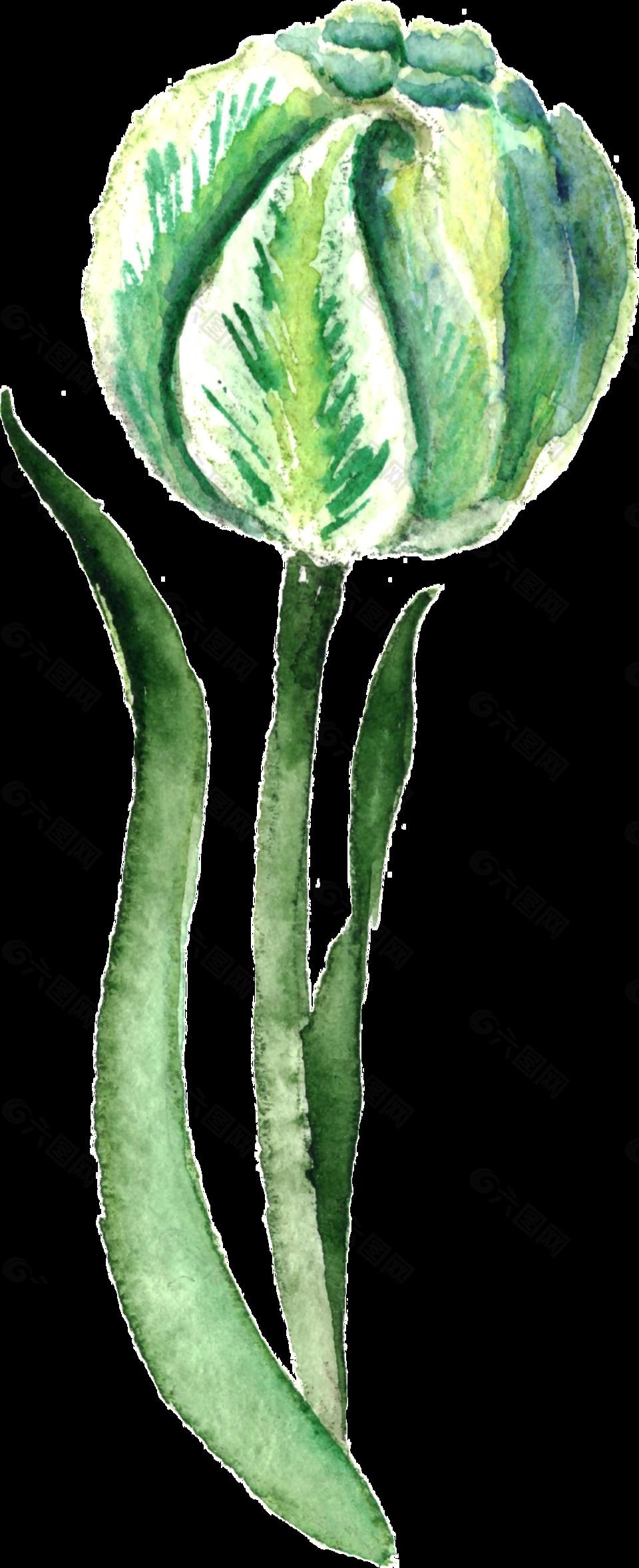 手绘文艺绿色植物透明素材