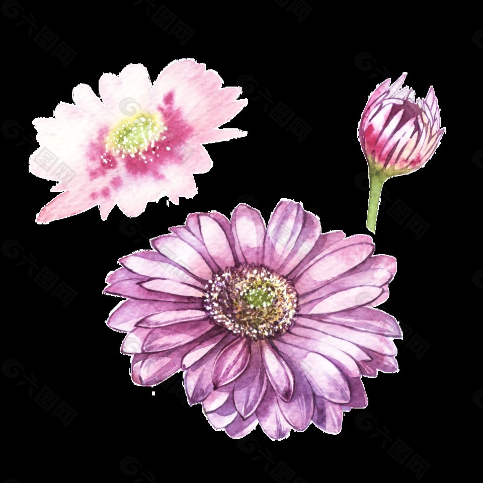 粉色可爱小雏菊透明素材