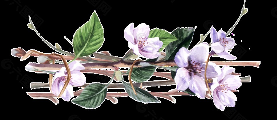 紫色藤曼花卉卡通透明素材