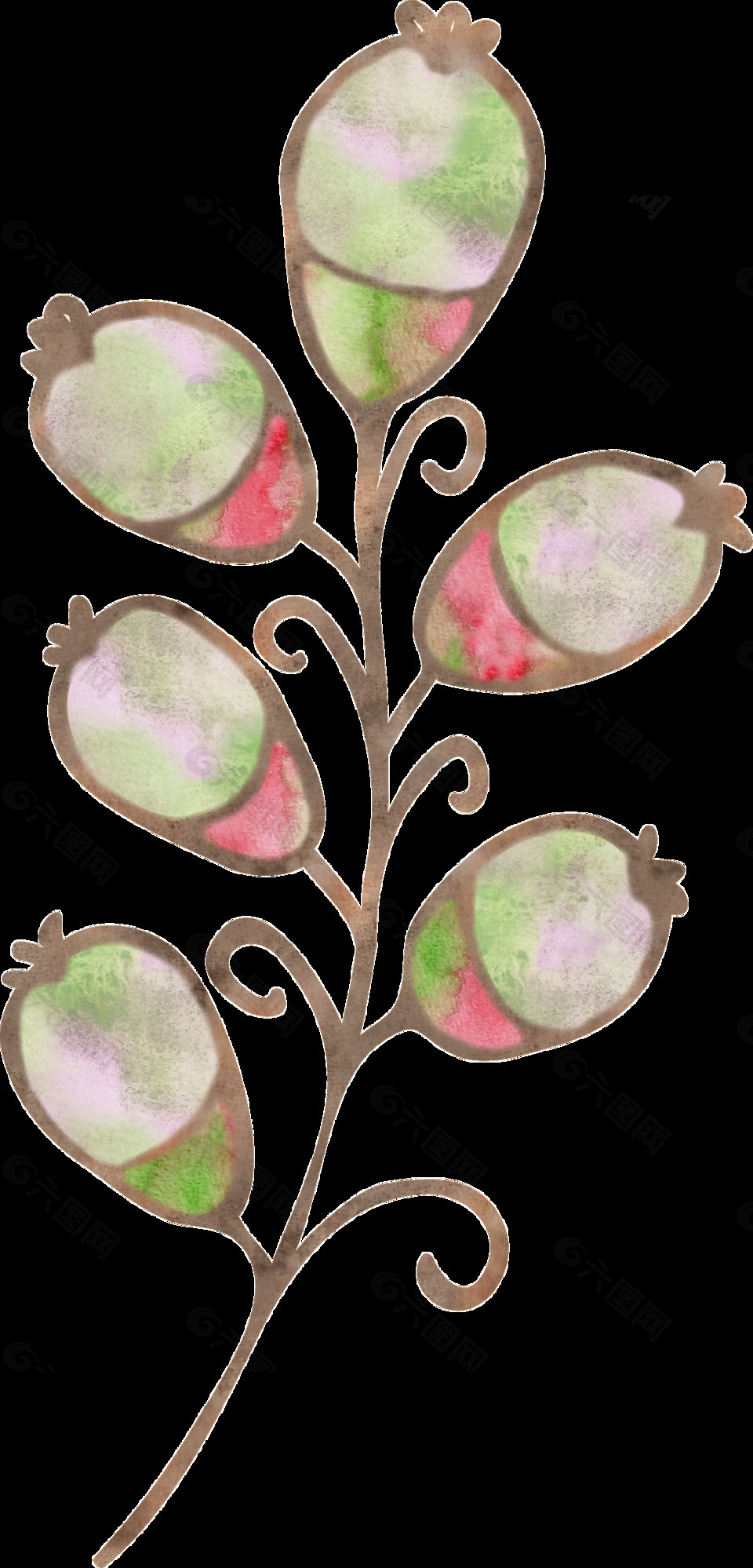 简约装饰果实透明素材