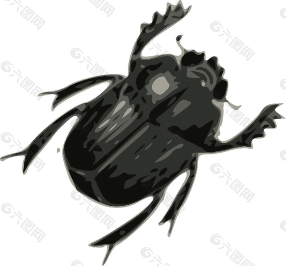 黑色甲虫图片免抠png透明素材