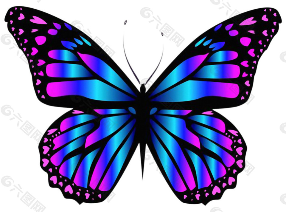 漂亮的彩色蝴蝶免抠png透明素材设计元素素材免费下载 图片编号 六图网