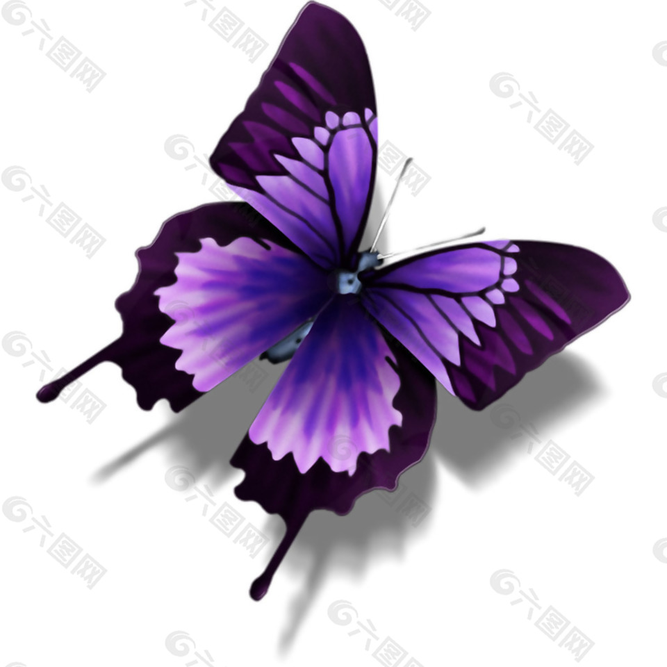 带投影的紫色蝴蝶免抠png透明素材