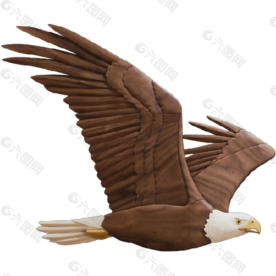 棕色漂亮老鹰图片免抠png透明素材