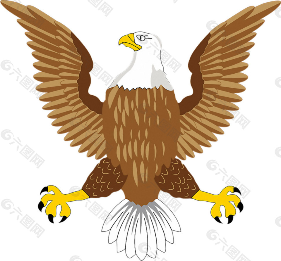 手绘棕色老鹰图片免抠png透明素材