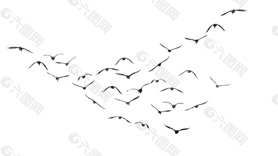天上飞的一群鸟简笔画图片