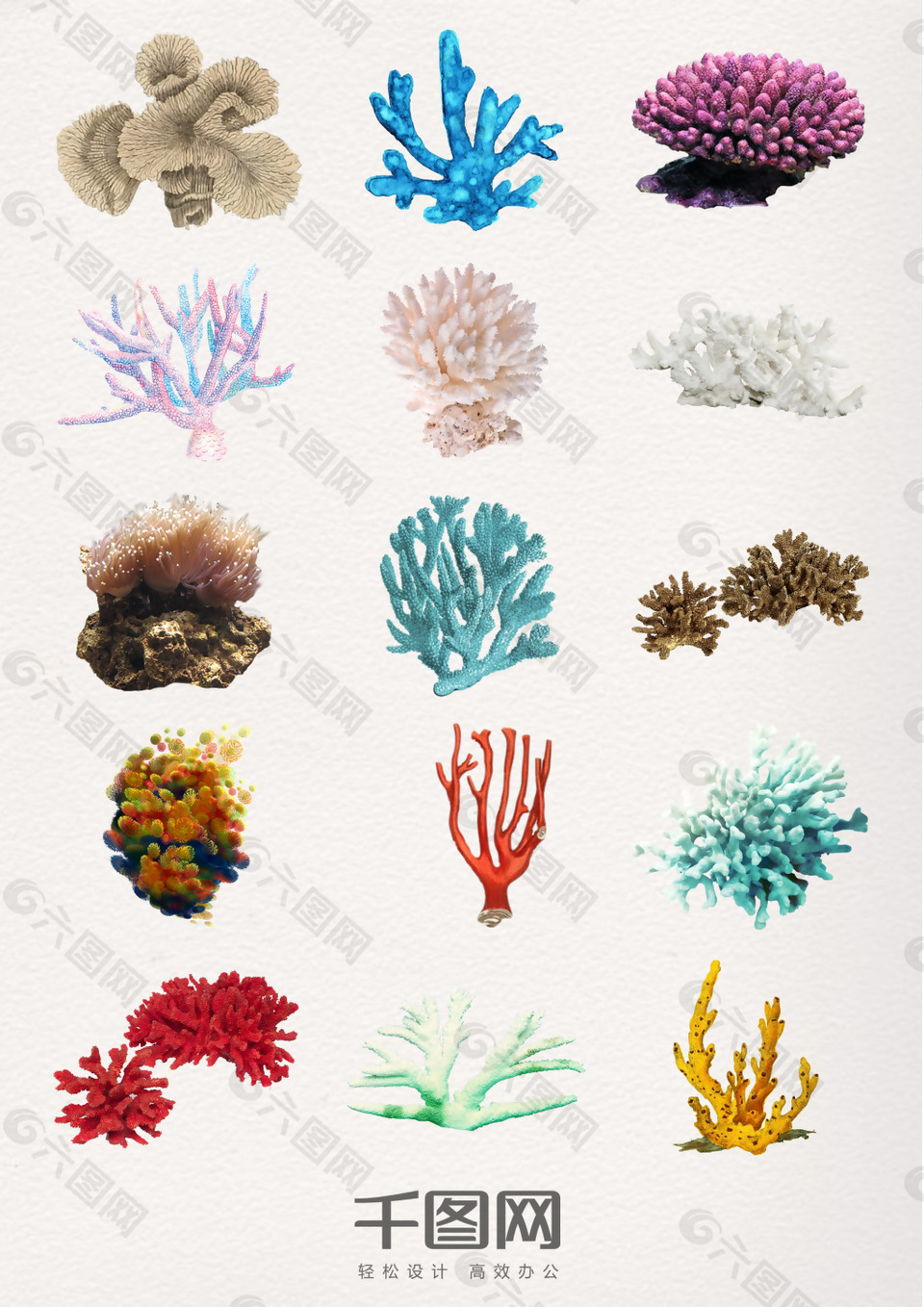 真实的珊瑚元素素材设计元素素材免费下载 图片编号 六图网