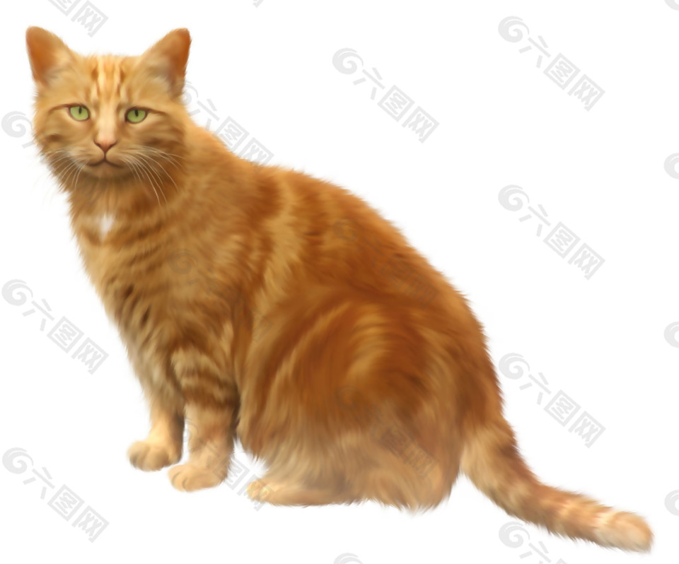 漂亮棕黄色的猫免抠png透明素材