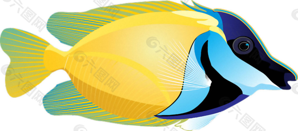 手绘黄蓝色热带鱼免抠png透明素材
