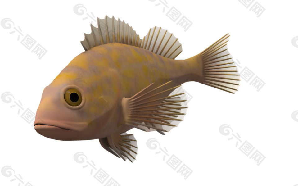 褐色的鱼三维图免抠png透明素材