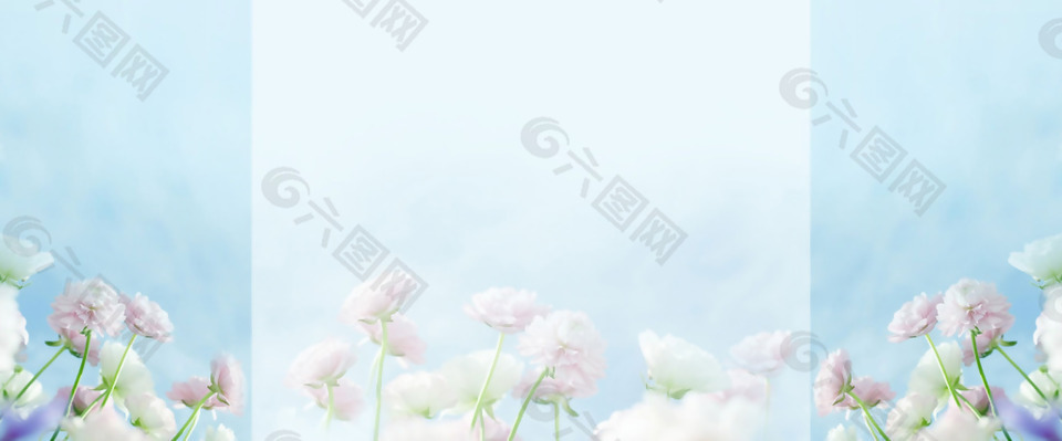 清新白色花朵banner背景素材