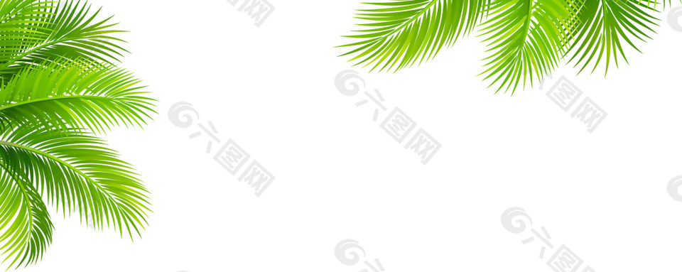 细叶树png元素素材