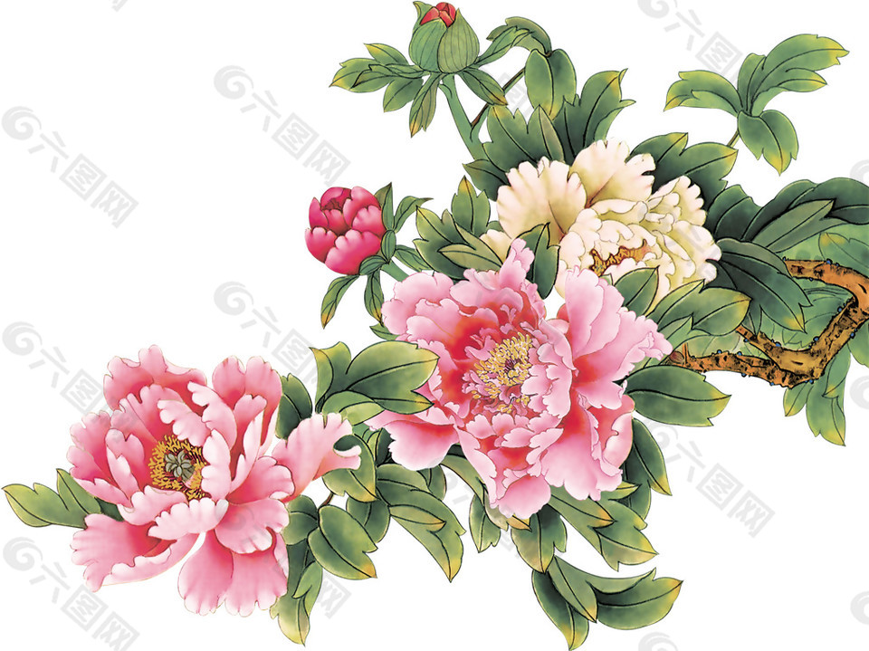 彩色手绘牡丹花朵图案素材