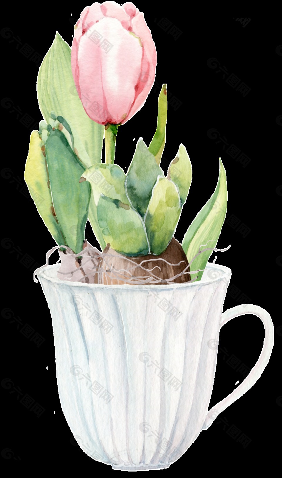 茶杯花卉透明装饰图案